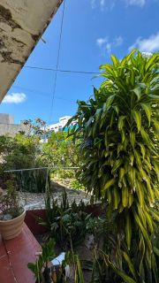 CASA AMPLA COM GRANDE TERRENO – BAIRRO SÃO JOSE