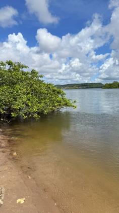 Repasse de lote no Águas da Barra