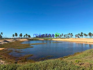 Lote à venda - Cond. Malibu Beach, Barra dos Coqueiros