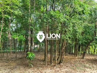 Resort Villas do Pratagy – Porteira Fechada