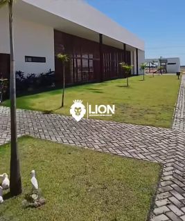 OPORTUNIDADE DE REPASSE DE LOTE NO FRANCÊS!