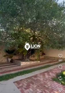 POUSADA À VENDA – OPORTUNIDADE DE INVESTIMENTO | PRAIA DA DULCE – PORTAL DOS CÂNIONS
