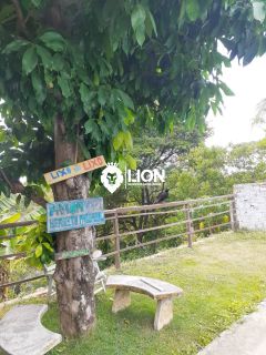 ? MINI CHÁCARA À VENDA EM ANTARES | MACEIÓ/AL
