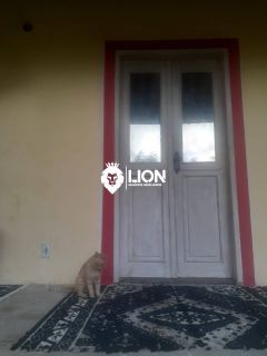 ? MINI CHÁCARA À VENDA EM ANTARES | MACEIÓ/AL