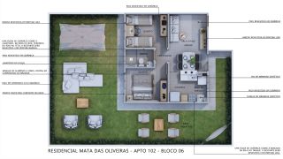 Mata das Oliveiras
