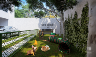 Infinity Célia Neves Rosarinho