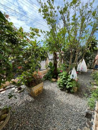 Casa Com 1 Suíte + 2 Dormitórios no Centro de Penha