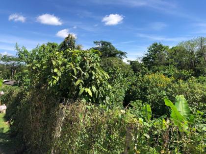 Lote / Terreno de Bairro Para Vender no bairro Gravatá  em Penha