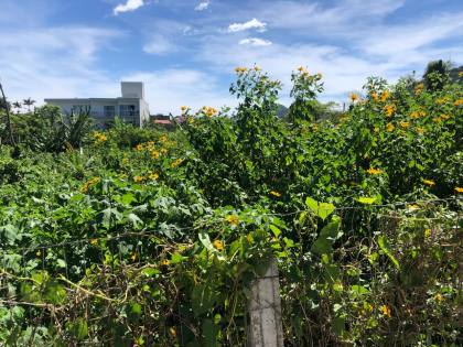 Lote / Terreno de Bairro Para Vender no bairro Gravatá  em Penha