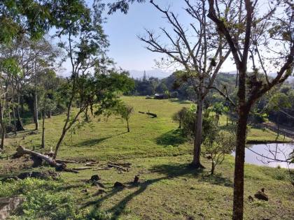 Sitio para venda