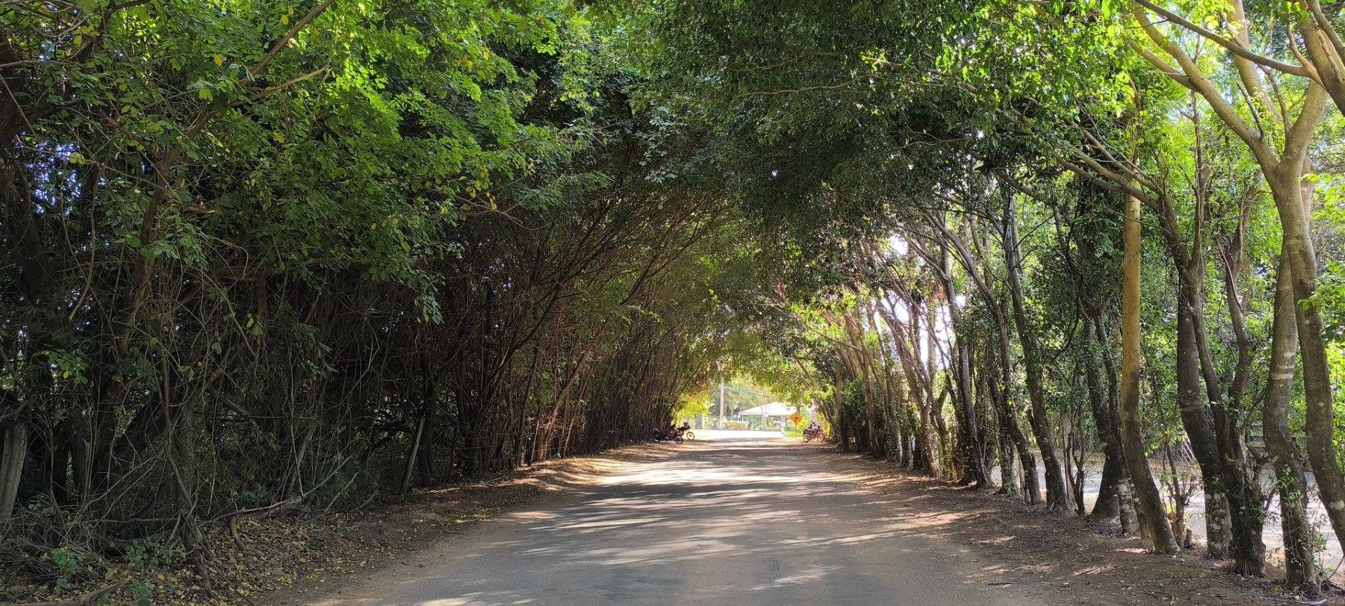 Chácara dos Sonhos de Porteira Fechada um Paraiso em Bela Vista De Goiás