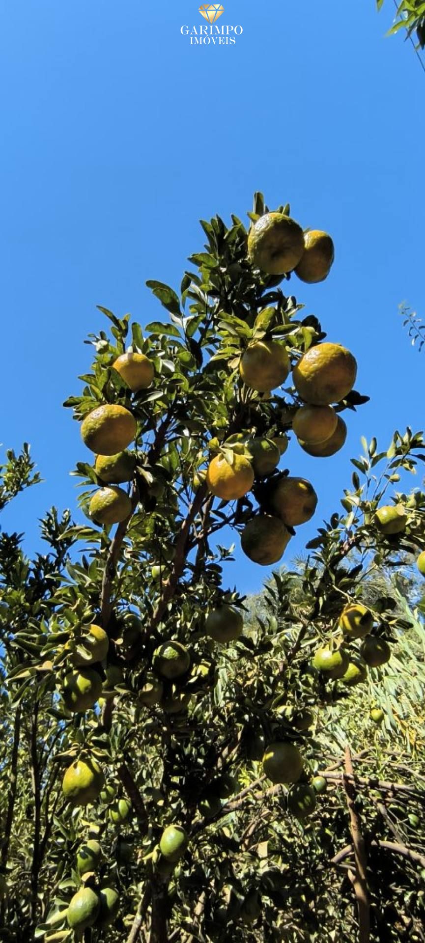 Chácara dos Sonhos de Porteira Fechada um Paraiso em Bela Vista De Goiás