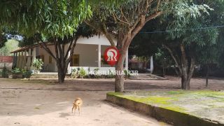 SÍTIO RESIDENCIAL / COMERCIAL, BAIRRO VALE QUEM TEM, ZONA LESTE