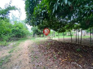 FAZENDA SOARES > LOTE - SÃO VICENTE, ZONA LESTE