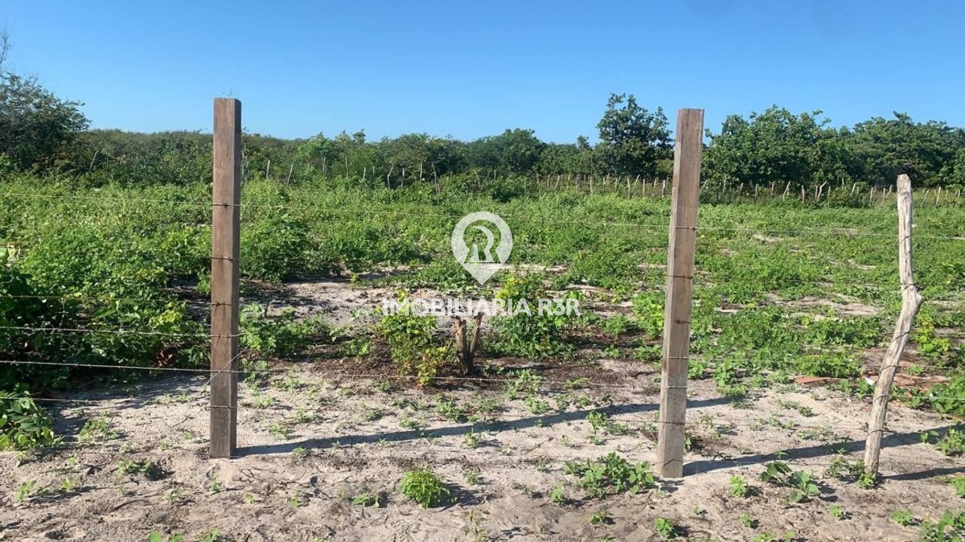 LOTE - BARRA GRANDE, CAJUEIRO DA PRAIA (PI)