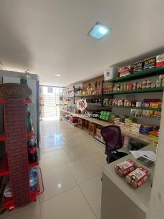 APARTAMENTO - BAIRRO NOIVOS, ZONA LESTE