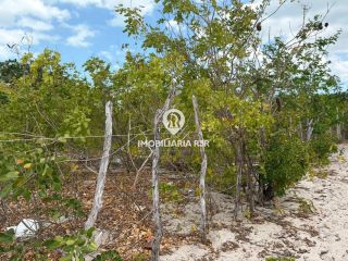 LOTE BARRA GRANDE, CAJUEIRO DA PRAIA - PARNAIBA-PI