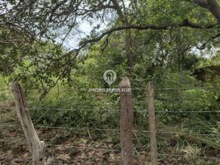 LOTE – BAIRRO VILA DO BEC, TIMON - MA