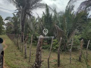 LOTE – BAIRRO VILA DO BEC, TIMON - MA