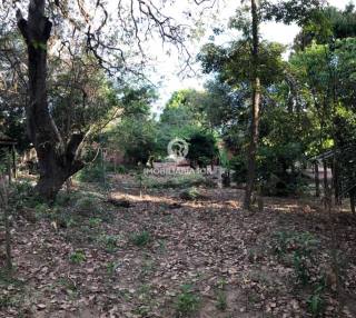 LOTE / CASA – BAIRRO MORROS, ZONA LESTE