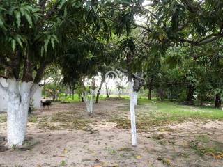 CHÁCARA - BAIRRO SABIZAL, PARNAÍBA (PI)