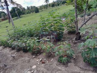 Fazenda Porteira Fechada em Salgado-SE