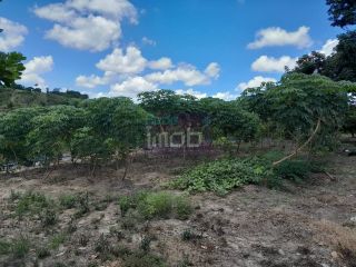 Fazenda Porteira Fechada em Salgado-SE