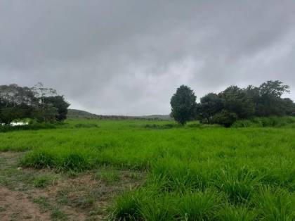 Fazenda Porteira Fechada em Salgado-SE