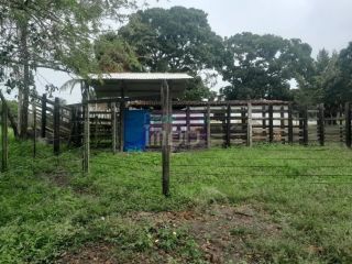Fazenda Porteira Fechada em Salgado-SE