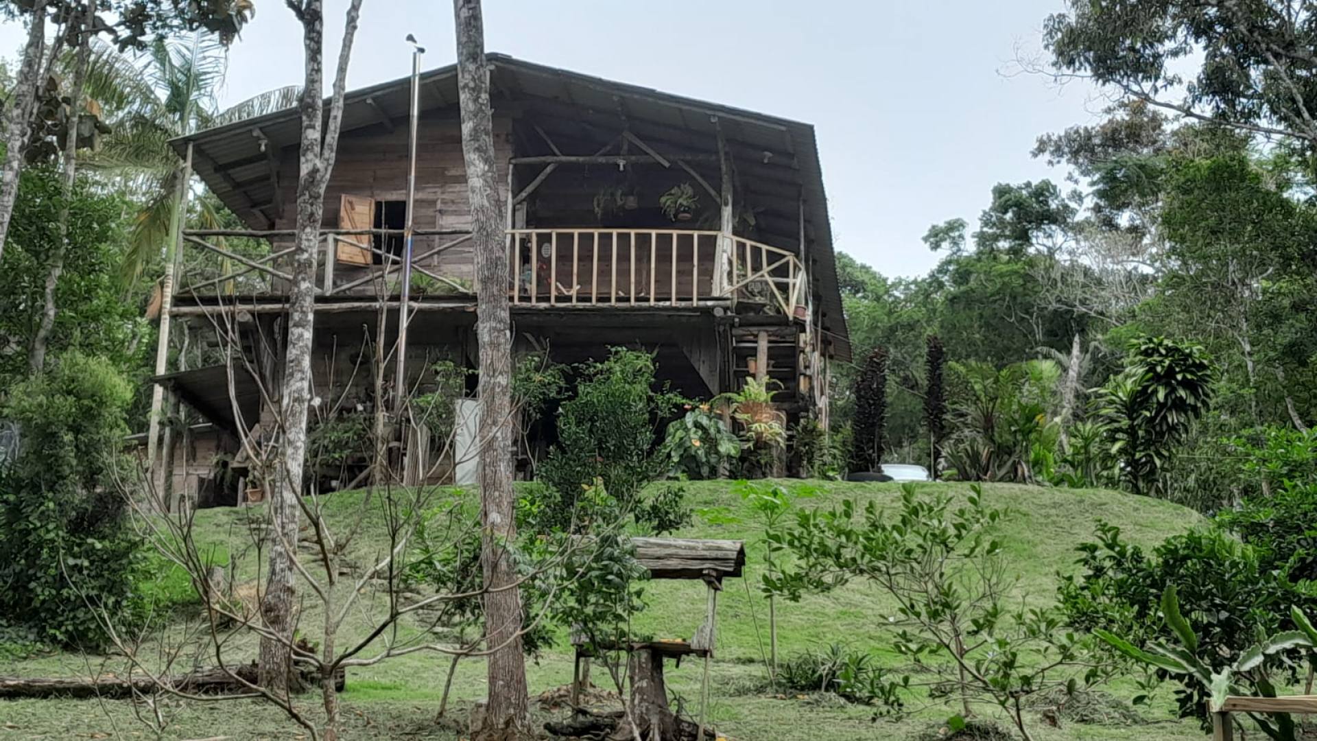 Sítio Encantador com Lagoa e 35 Mil m² de Terreno Produtivo em São João de Itaperiú/SC. Ref. 338