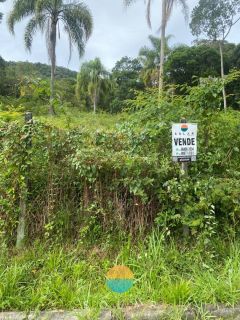 Uma oportunidade imperdível! Terreno de 30.000m² com nascente de rio, no Centro da Armação do Itapocoroi, Penha / SC. Ref. 529