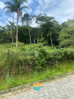 Uma oportunidade imperdível! Terreno de 30.000m² com nascente de rio, no Centro da Armação do Itapocoroi, Penha / SC. Ref. 529
