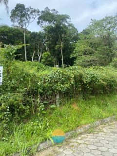 Uma oportunidade imperdível! Terreno de 30.000m² com nascente de rio, no Centro da Armação do Itapocoroi, Penha / SC. Ref. 529