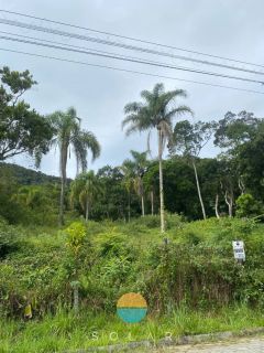 Uma oportunidade imperdível! Terreno de 30.000m² com nascente de rio, no Centro da Armação do Itapocoroi, Penha / SC. Ref. 529