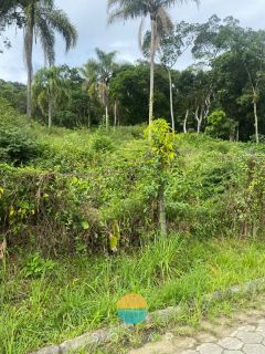 Uma oportunidade imperdível! Terreno de 30.000m² com nascente de rio, no Centro da Armação do Itapocoroi, Penha / SC. Ref. 529