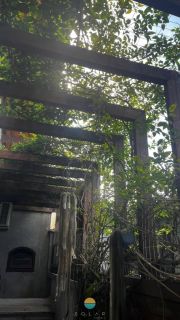 Casa com 4 quartos sendo 2 suítes na Praia Alegre