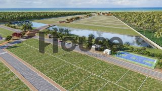 Villaredo Aruana