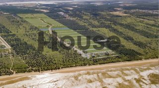 Villaredo Aruana