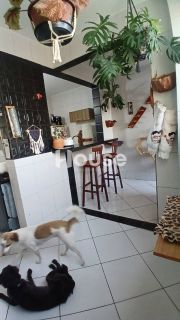 Apartamento no Edifício Sheila, bairro São José