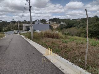 LOTE GIARDINO BIANCO