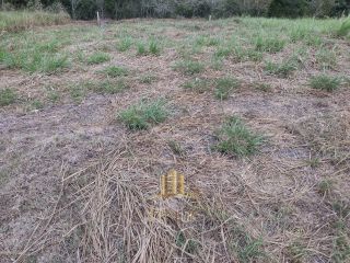 LOTE GIARDINO BIANCO
