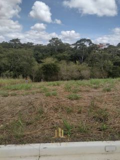 LOTE GIARDINO BIANCO