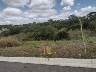 LOTE GIARDINO BIANCO