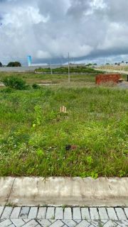 PRIMEVILLE - LOTE