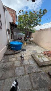 CASA JARDIM PAULISTANO