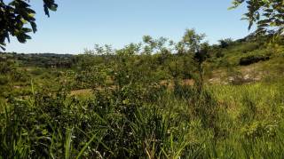 Sítio à venda, 35000 m² por R$ 180.000,00 - Zona Rural - Lagoa Seca/PB