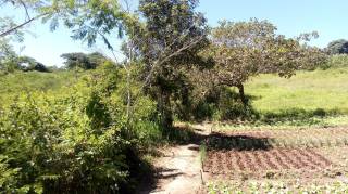 Sítio à venda, 35000 m² por R$ 180.000,00 - Zona Rural - Lagoa Seca/PB