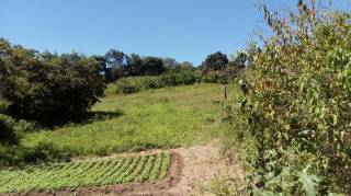 Sítio à venda, 35000 m² por R$ 180.000,00 - Zona Rural - Lagoa Seca/PB