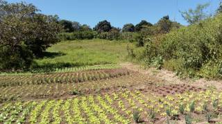 Sítio à venda, 35000 m² por R$ 180.000,00 - Zona Rural - Lagoa Seca/PB
