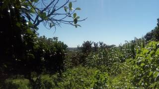 Sítio à venda, 35000 m² por R$ 180.000,00 - Zona Rural - Lagoa Seca/PB